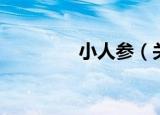 小人参（关于小人参介绍）