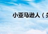 小亚马逊人（关于小亚马逊人介绍）