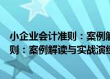 小企业会计准则：案例解读与实战演练（关于小企业会计准则：案例解读与实战演练介绍）
