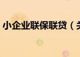 小企业联保联贷（关于小企业联保联贷介绍）