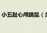 小五趾心颅跳鼠（关于小五趾心颅跳鼠介绍）