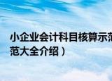 小企业会计科目核算示范大全（关于小企业会计科目核算示范大全介绍）
