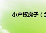 小产权房子（关于小产权房子介绍）