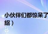 小伙伴们都惊呆了（关于小伙伴们都惊呆了介绍）