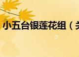 小五台银莲花组（关于小五台银莲花组介绍）