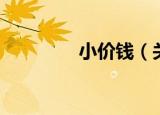 小价钱（关于小价钱介绍）