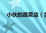 小伙的蔬菜店（关于小伙的蔬菜店介绍）