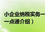 小企业纳税实务一点通（关于小企业纳税实务一点通介绍）