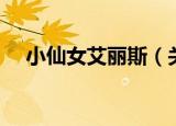 小仙女艾丽斯（关于小仙女艾丽斯介绍）