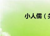 小人儒（关于小人儒介绍）