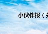 小伙伴报（关于小伙伴报介绍）