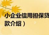 小企业信用担保贷款（关于小企业信用担保贷款介绍）