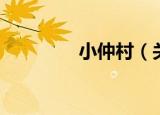 小仲村（关于小仲村介绍）