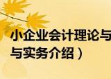 小企业会计理论与实务（关于小企业会计理论与实务介绍）
