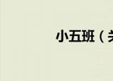 小五班（关于小五班介绍）