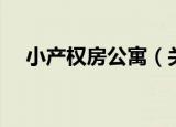 小产权房公寓（关于小产权房公寓介绍）