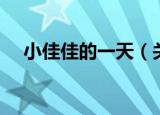 小佳佳的一天（关于小佳佳的一天介绍）