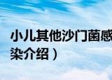 小儿其他沙门菌感染（关于小儿其他沙门菌感染介绍）