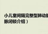 小儿室间隔完整型肺动脉闭锁（关于小儿室间隔完整型肺动脉闭锁介绍）