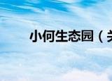 小何生态园（关于小何生态园介绍）