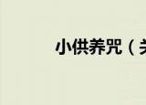 小供养咒（关于小供养咒介绍）