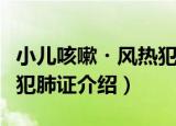 小儿咳嗽・风热犯肺证（关于小儿咳嗽・风热犯肺证介绍）
