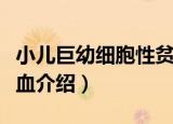 小儿巨幼细胞性贫血（关于小儿巨幼细胞性贫血介绍）