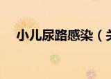小儿尿路感染（关于小儿尿路感染介绍）
