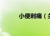 小便刺痛（关于小便刺痛介绍）