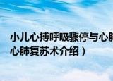 小儿心搏呼吸骤停与心肺复苏术（关于小儿心搏呼吸骤停与心肺复苏术介绍）