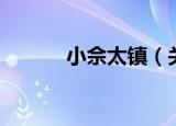 小佘太镇（关于小佘太镇介绍）