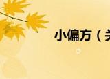 小偏方（关于小偏方介绍）