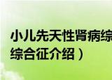 小儿先天性肾病综合征（关于小儿先天性肾病综合征介绍）