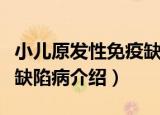 小儿原发性免疫缺陷病（关于小儿原发性免疫缺陷病介绍）