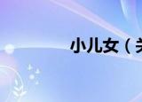 小儿女（关于小儿女介绍）