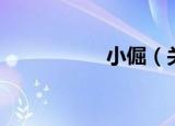 小倔（关于小倔介绍）