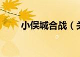 小俣城合战（关于小俣城合战介绍）