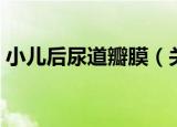小儿后尿道瓣膜（关于小儿后尿道瓣膜介绍）