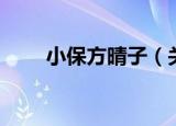 小保方晴子（关于小保方晴子介绍）
