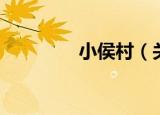 小侯村（关于小侯村介绍）