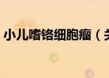 小儿嗜铬细胞瘤（关于小儿嗜铬细胞瘤介绍）