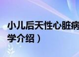 小儿后天性心脏病学（关于小儿后天性心脏病学介绍）