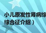 小儿原发性肾病综合征（关于小儿原发性肾病综合征介绍）