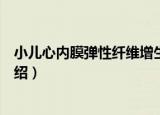 小儿心内膜弹性纤维增生（关于小儿心内膜弹性纤维增生介绍）