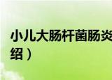 小儿大肠杆菌肠炎（关于小儿大肠杆菌肠炎介绍）