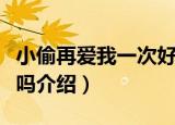 小偷再爱我一次好吗（关于小偷再爱我一次好吗介绍）