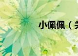 小佩佩（关于小佩佩介绍）