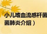 小儿嗜血流感杆菌肺炎（关于小儿嗜血流感杆菌肺炎介绍）