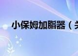 小保姆加脂器（关于小保姆加脂器介绍）