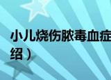 小儿烧伤脓毒血症（关于小儿烧伤脓毒血症介绍）